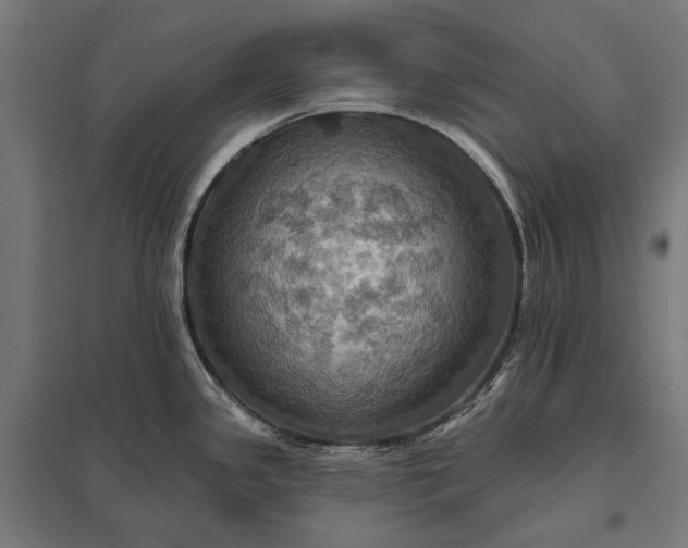 X0000097831341200803281151