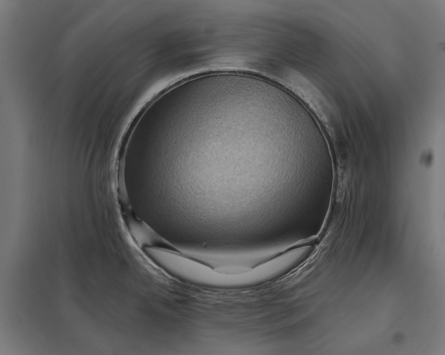 X0000097831342200803281151