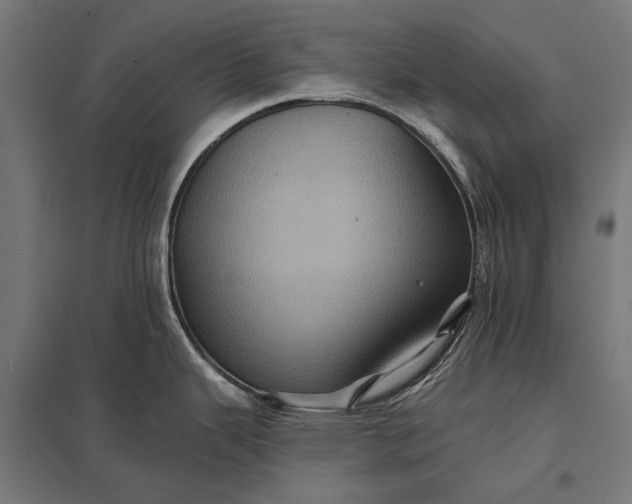 X0000097831343200803281151