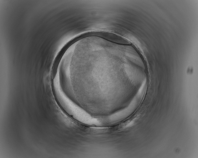 X0000097831344200803281151