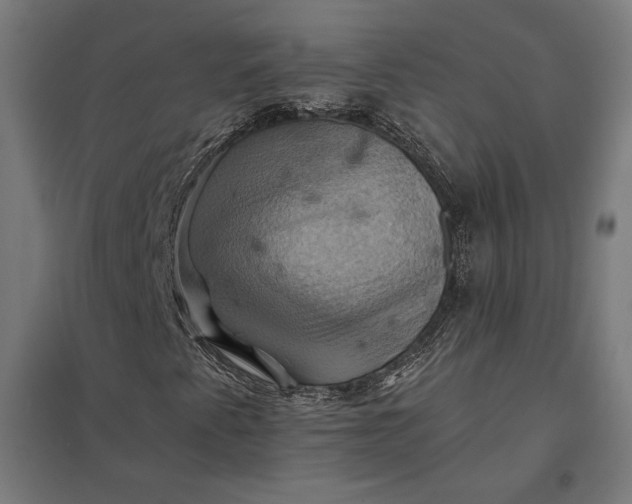 X0000097831345200803281151