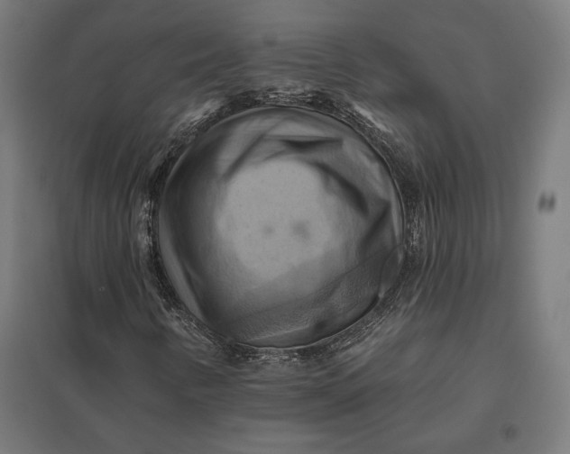 X0000097831346200803281151