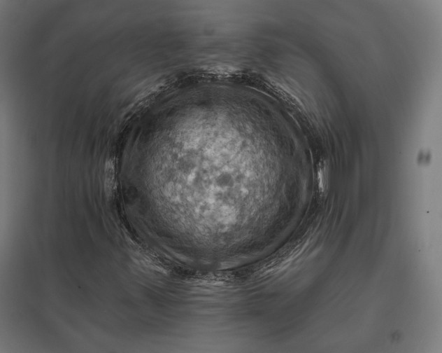 X0000097831347200803281151