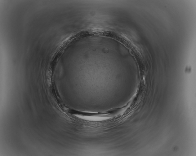 X0000097831348200803281151