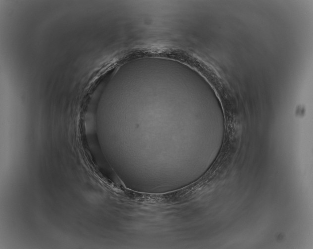 X0000097831349200803281151