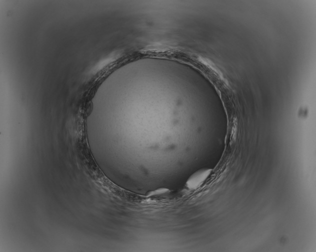 X0000097831350200803281151