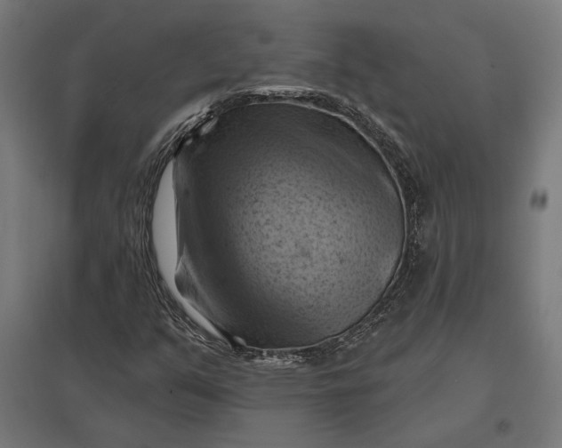 X0000097831351200803281151