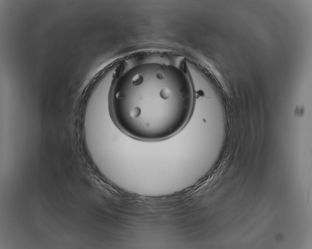 X0000097831352200803281151