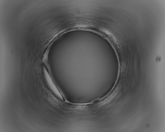 X0000097831353200803281151