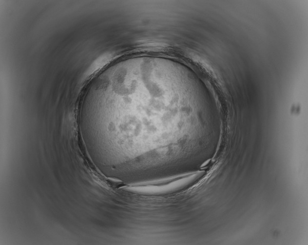 X0000097831354200803281151