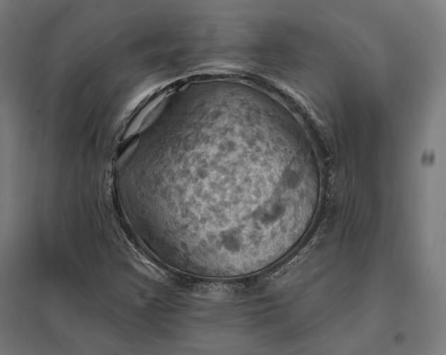 X0000097831355200803281151