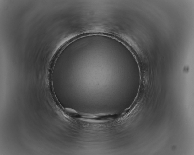 X0000097831356200803281151