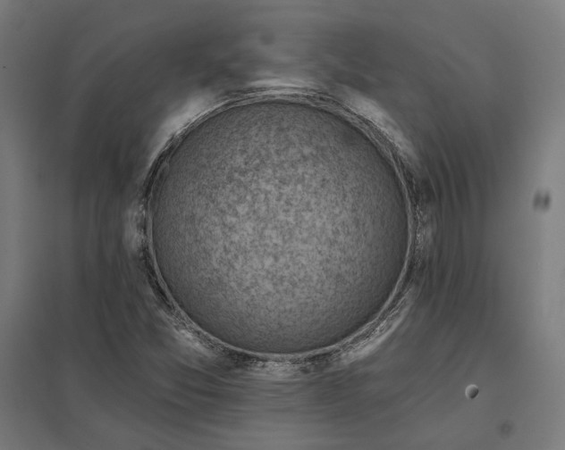 X0000097831357200803281151