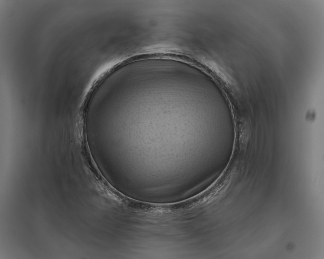 X0000097831358200803281150