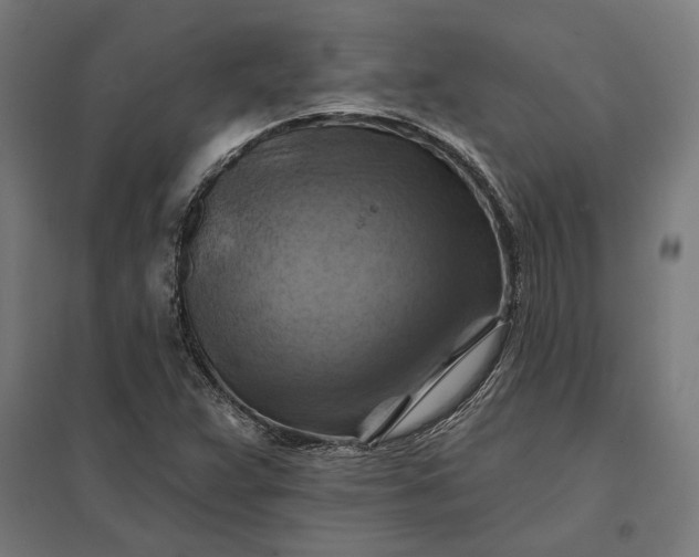 X0000097831359200803281150