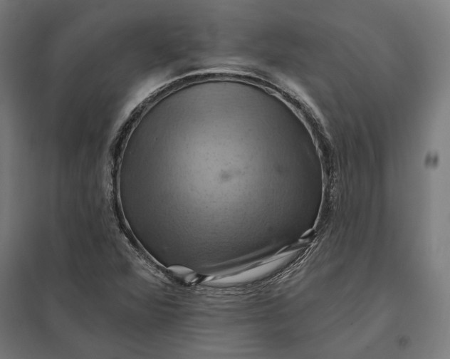 X0000097831360200803281150