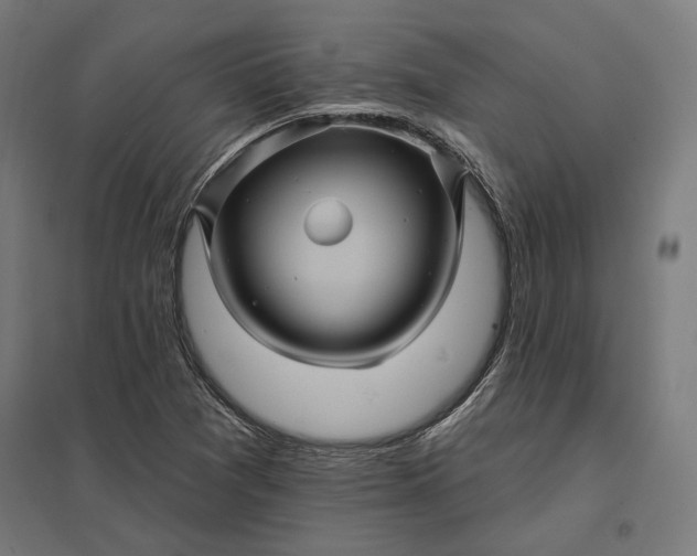 X0000097831361200803281150