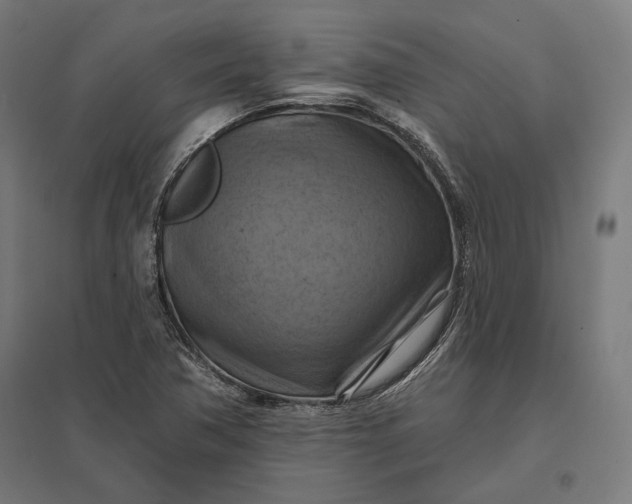 X0000097831362200803281150