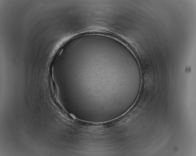 X0000097831363200803281150