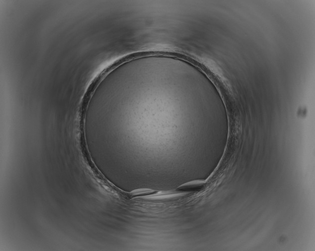 X0000097831364200803281150