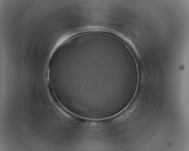 X0000097831365200803281150