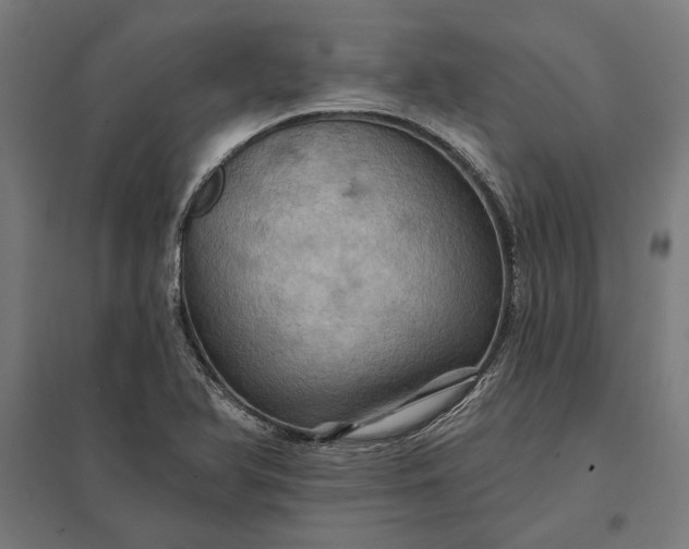 X0000097831366200803281150