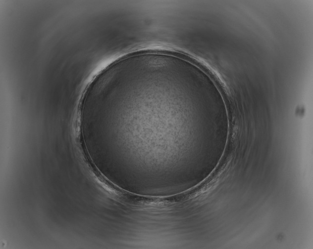 X0000097831367200803281150