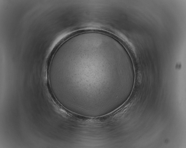 X0000097831368200803281150