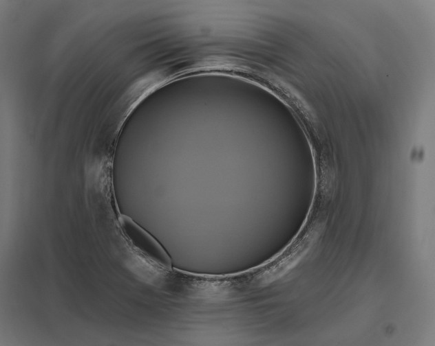 X0000097831369200803281150