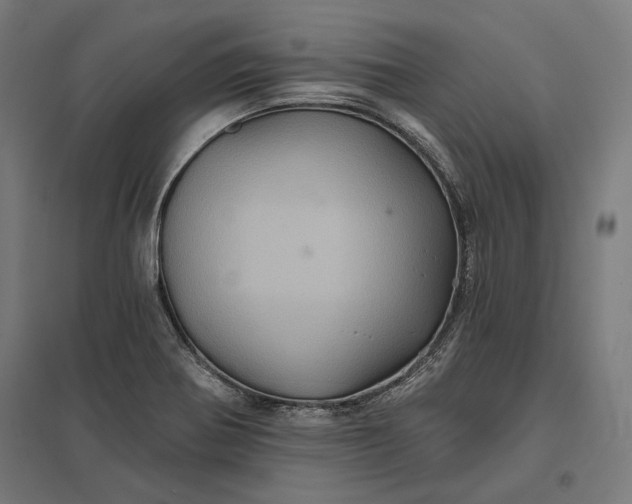 X0000097831370200803281150