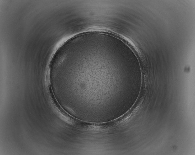 X0000097831371200803281150