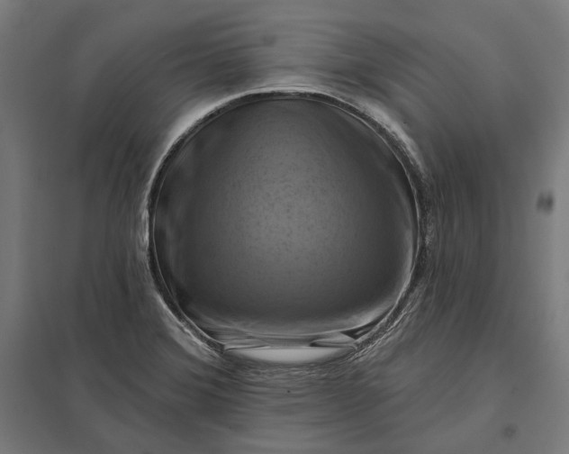 X0000097831372200803281150