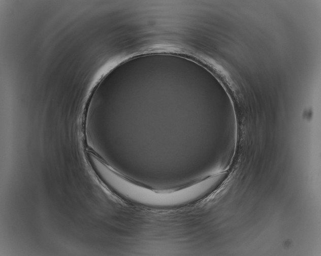 X0000097831373200803281150