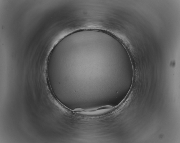 X0000097831374200803281150