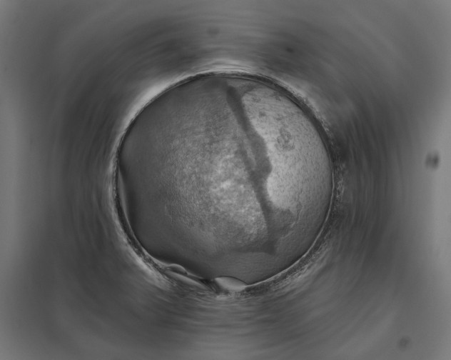 X0000097831375200803281150