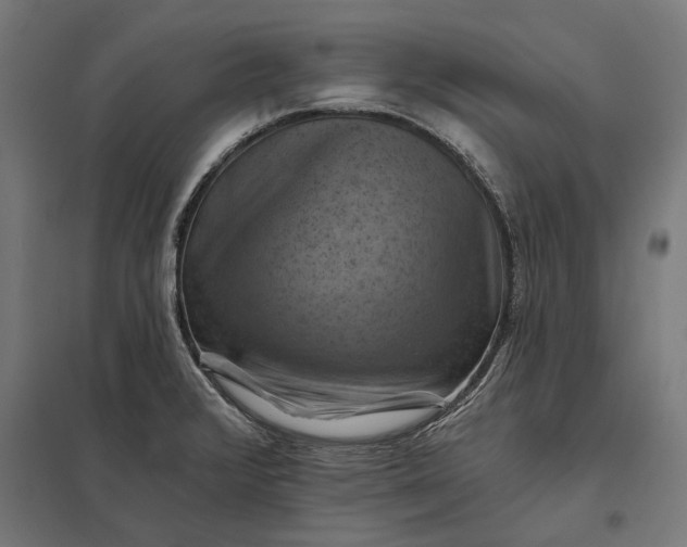 X0000097831376200803281150