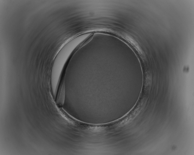 X0000097831377200803281150