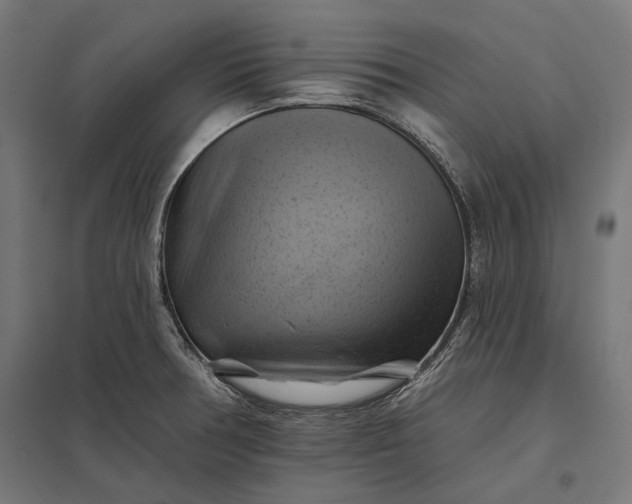 X0000097831378200803281150