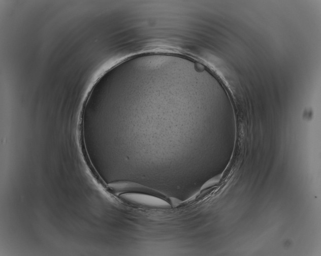 X0000097831379200803281150