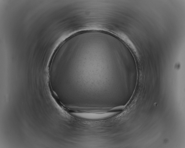 X0000097831380200803281150