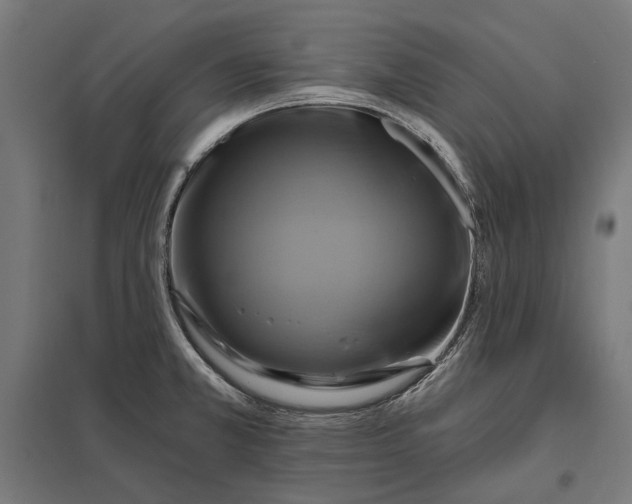 X0000097831381200803281150