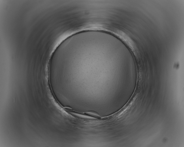 X0000097831382200803281150