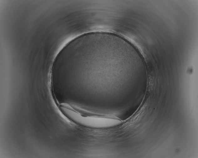 X0000097831383200803281150