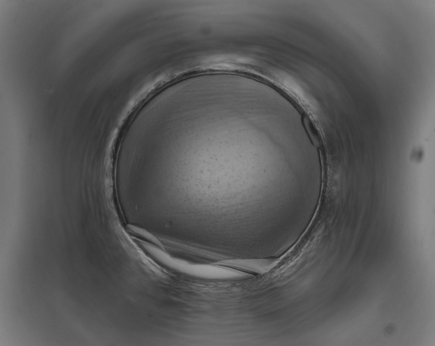 X0000097831384200803281150