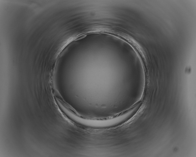 X0000097831385200803281150