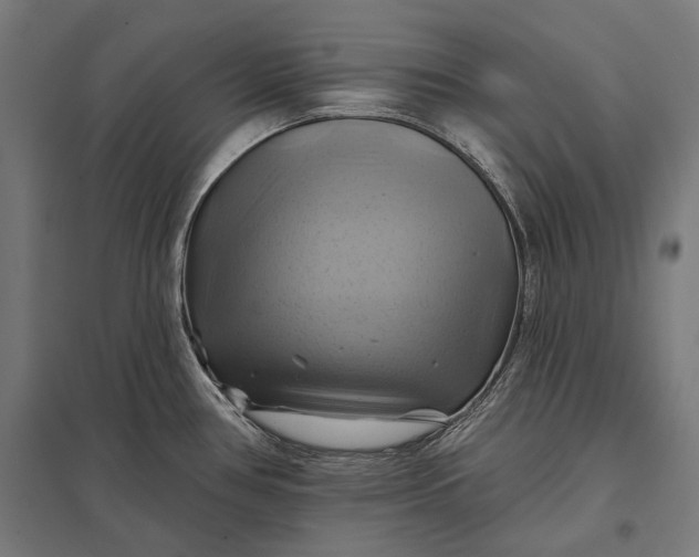 X0000097831386200803281150