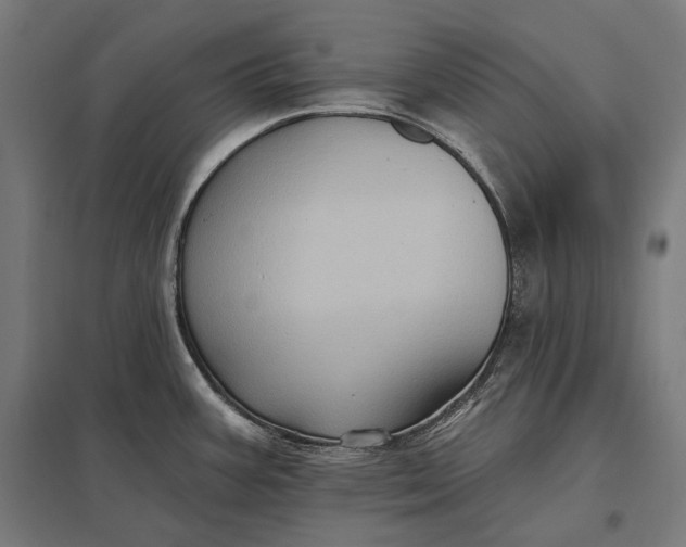 X0000097831387200803281150