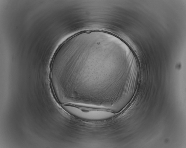 X0000097831388200803281150