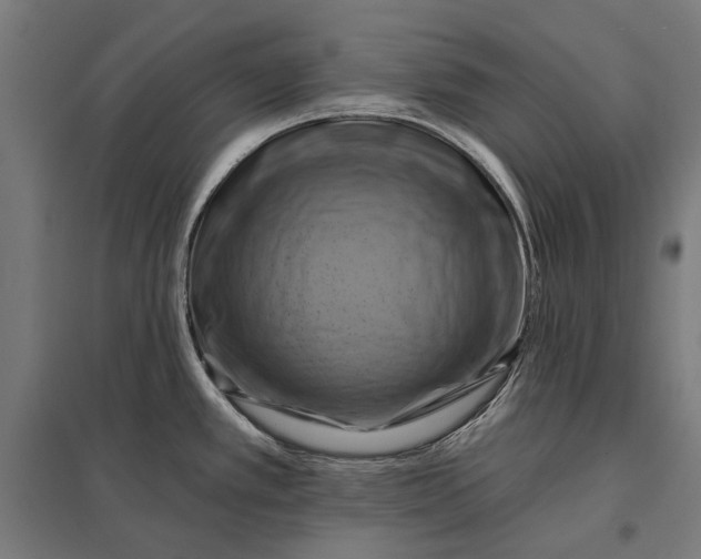 X0000097831389200803281150