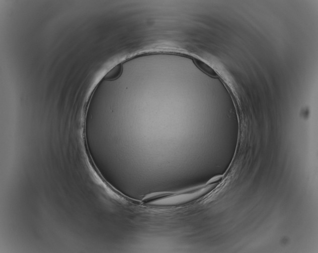 X0000097831390200803281150